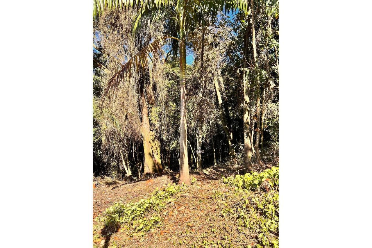 Vale Das Araucarias Pousada Em Serra Negra S. Paulo Exterior photo